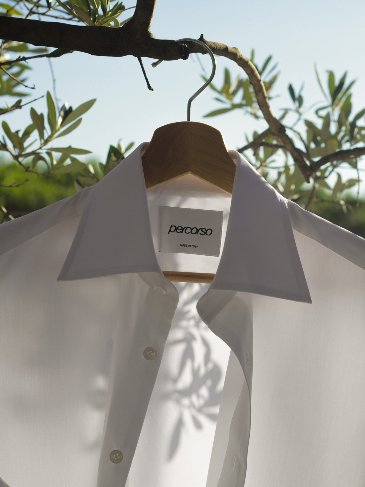 The Percorso shirt on a hanger in an olive tree